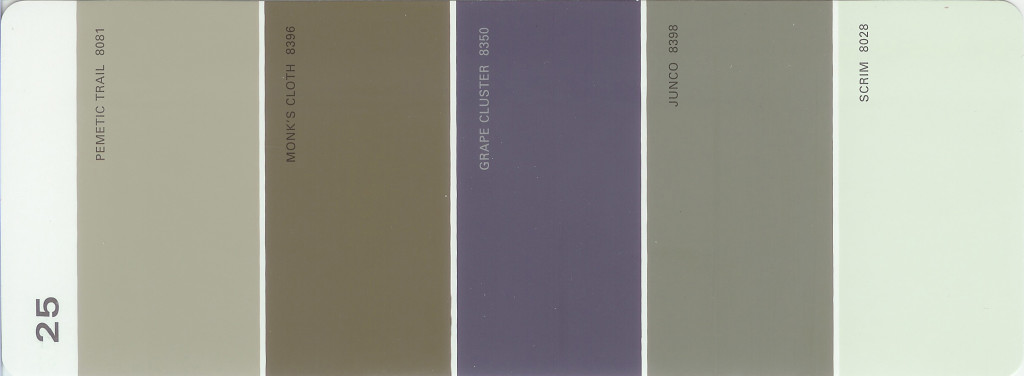 Martha Stewart Paint 5-Color Palette Card #25 Martha Stewart Paint 5-Color Palette Card #25