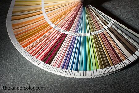 How To Determine If A Color Is Warm Or Cool What You Need To Know